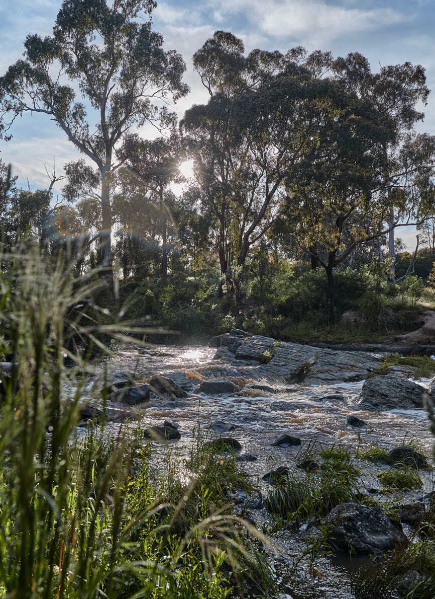 Plenty Gorge trails
